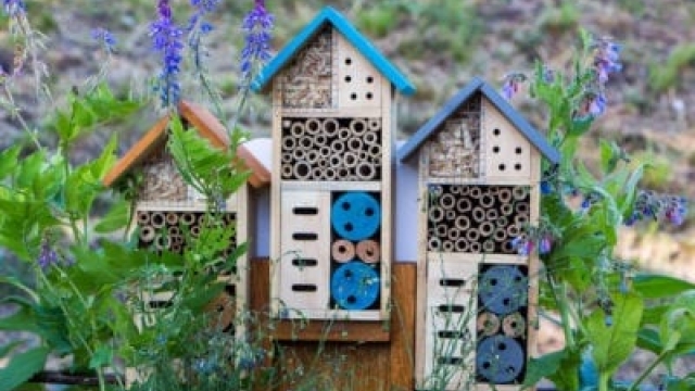 Hoteles de insectos caseros: construcción de un hotel de insectos para el jardín